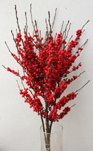 Ilex Winterberry Bunch - Wholesale