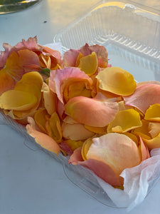 Pétalos de Rosas