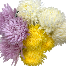 Mum Bunch - Wholesale