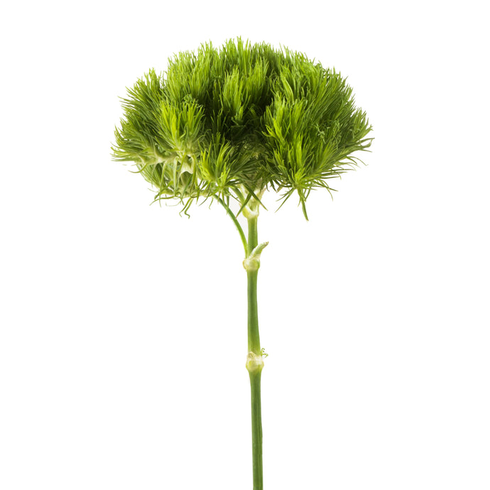 Green Ball