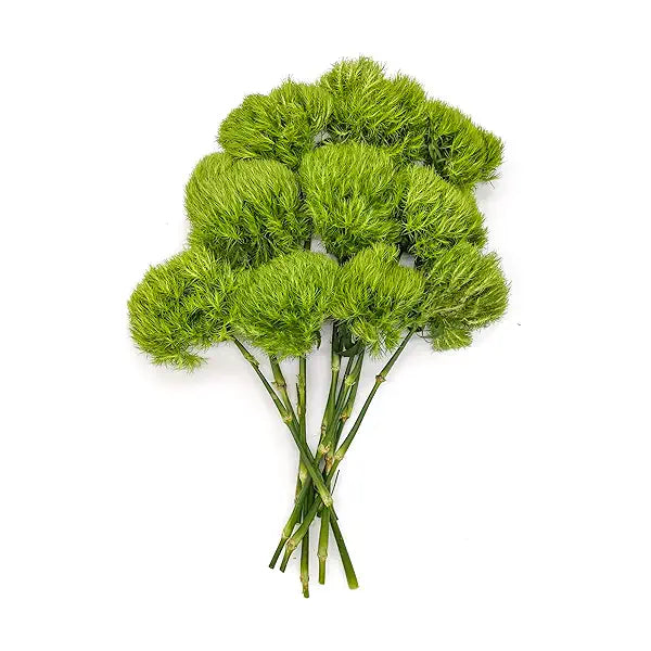 Green Balls Bunch - Wholesale