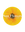 Sun Flowers logo