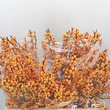 Ilex Winterberry Bunch - Wholesale