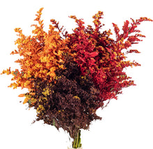 Solidago Bunch - Wholesale