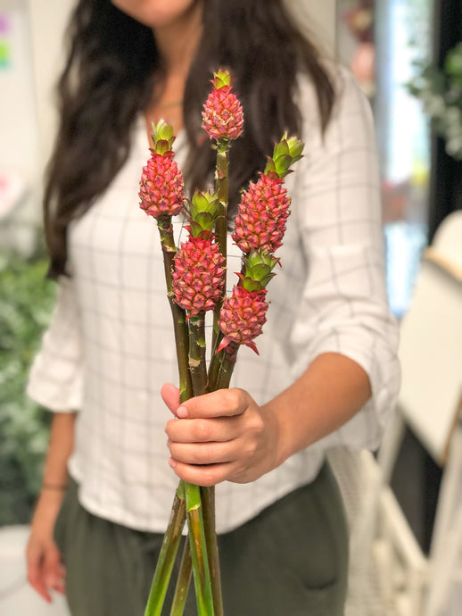 Mini Pineapples