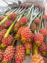 Mini Pineapples
