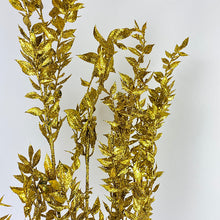 Ruscus Glitter Gold